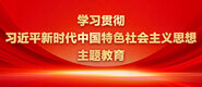 操骚穴影像学习贯彻习近平新时代中国特色社会主义思想主题教育_fororder_ad-371X160(2)